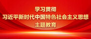 看真人交配黄色妣视屏学习贯彻习近平新时代中国特色社会主义思想主题教育_fororder_ad-371X160(2)